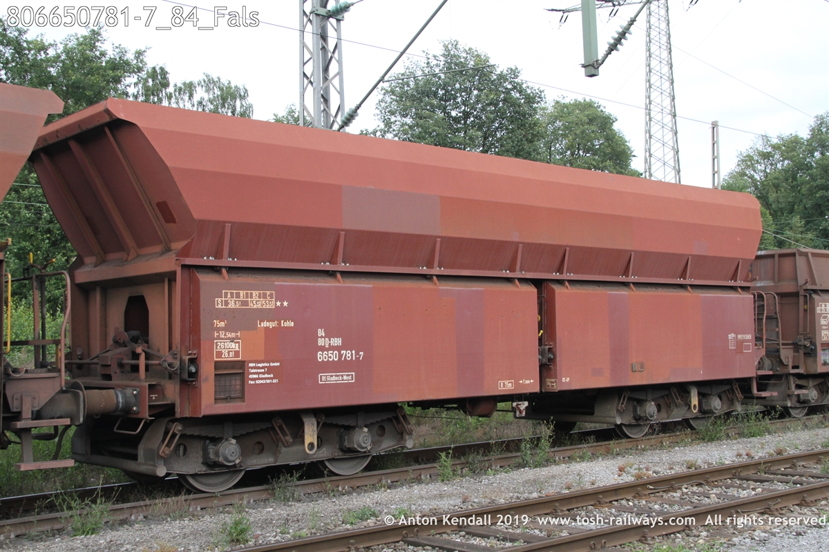 806650781-7_84_Fals.JPG